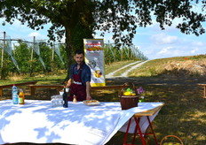 Déjeuner champêtre à l'ombre du grand chêne, près des vergers du producteur Jérôme Pinaud