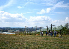 En accord avec ses valeurs, l'Alliance Perlim-Meylim a fait appel à un traiteur local pour mettre à l'honneur la Rubis Gold® dans ses préparations