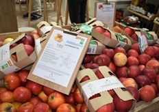 Stand des Coteaux Nantais 