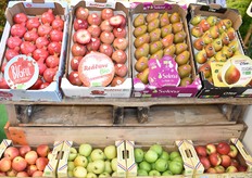 Stand Le Vieux Pointet