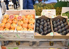 Les Domaines de La Taste