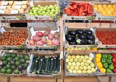 Stand de la société Solagora 