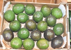 Marquage laser pour les avocats de Solagora 