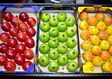 Jazz, Granny et Rubis Gold, pommes présentées par Mylord 