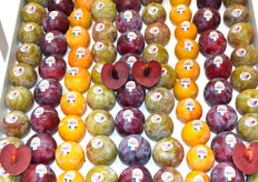 Prune Lovita sur le stand Vergers Cancel