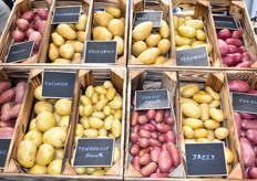 Variétés présentées sur le stand de la coopérative Le Gouessant 