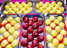 Produits exposés sur le stand AlpUnion