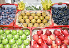 Produits présentés sur le stand Creno Impex 