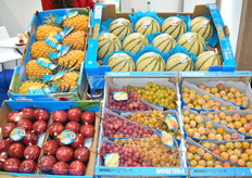 Produits présentés sur le stand Boyer 