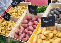 Produits présentés sur le stand Touquet Savour 