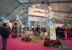 Parmi les rares stands de fleurs, Selecta One était présente. 