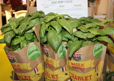 La gamme d'herbes aromatiques de Saint-Rémy Basilic nouvellement certifiée ZRP