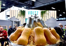 Le butternut ORIONIT de Voltz Maraîchage a remporté le SIVAL d'Argent