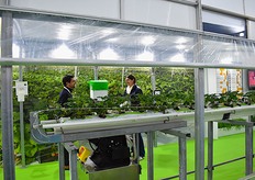 Sur le stand du CTIFL