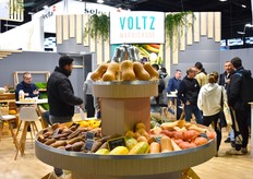 Voltz Maraîchage est venue présenter sa gamme de produits dont les courges, patates douces, herbes aromatiques entre autres références