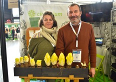 Cichorium avec Lou-Jenna Parizet et Philippe Banquet