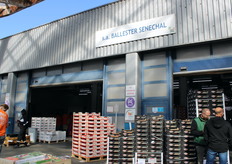 Maison Ballester Sénéchal 