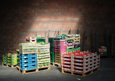 Palettes sur le Carreau des producteurs 