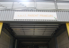 La société Parent Primeurs