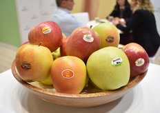 Apperçu de la gamme de pommes de Perlim-Meylim