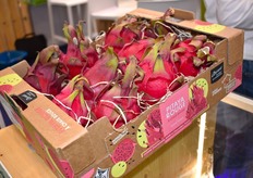 Nouveauté qui n'est pas passée inaperçue, le pitaya à chair rouge produit en France par Océane