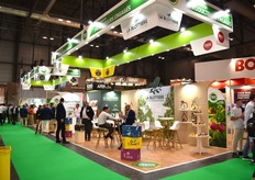 L'association Demain la Terre et ses adhérents ont exposé cette année sous une bannière commune