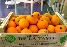 Les oranges bio corses des Domaines de La Taste