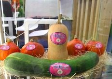 Les Sources s'est diversifiée. Cette année est la première récolte de courges et de patates douces