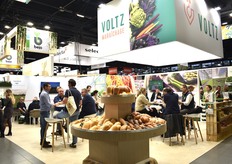 La gamme de variétés courges de Voltz Maraîchage