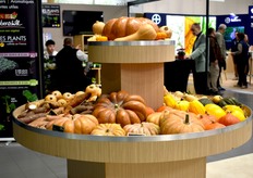 Gamme de variétés de courges de Voltz