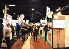 Allée du Grand Palais