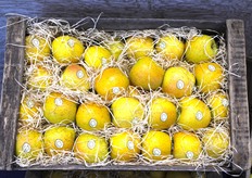 La GoldRush sur le stand Mouneyrac