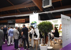 Stand Alternea - Neabio