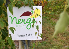 Le verger de Jean-Louis Tissier