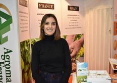 Quelz Diaz de Potato Market