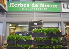 Les Herbes de Meaux, producteur et fournisseur d’herbes aromatiques et de jeunes pousses en Seine-et-Marne