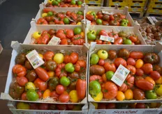 Les belles tomates colorées Savéole, commercialisées par Puech Montana