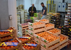 Monsieur Rouges du groupe Carriere, une des plus anciennes sociétés du marché, propose entre autres des tomates Coeur de boeuf "Saveur des Sorgues"