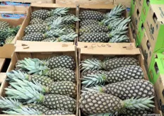 Ananas bio de la société Le Clos du Bio