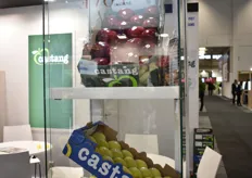 L'entreprise Castang était présente au salon du Fruit Logistica 2020