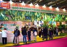 Banane de Guadeloupe et de Martinique, au salon pour faire découvrir la banane française aux visiteurs. 