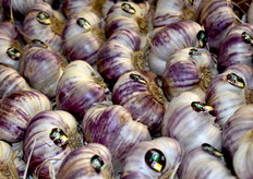 L'Ail violet de Cadours, présenté au SIA en tant que « Bon produit de Haute-Garonne ». 