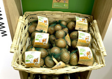 Filets biosourcés pour les oignons rouges de la Ferme des Arches.