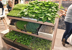 Produits du stand Voltz Maraîchage.