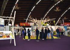 A l'entrée du medFEL