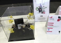 Parmi les nouveautés présentées à Sana Food : WDRINK, une marque de Sigroup International : il s'agit d'uneligne botanique unique de distillats non alcoolisés. Une eau aromatique 100% naturelle, obtenue par distillation à la vapeur des parties comestibles de la plante, sans ajout d'arômes, de conservateurs, de sucre ou d'alcool.