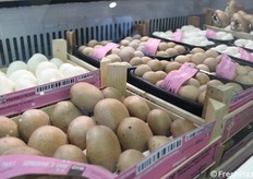 Champignons blancs et champignons bruns 