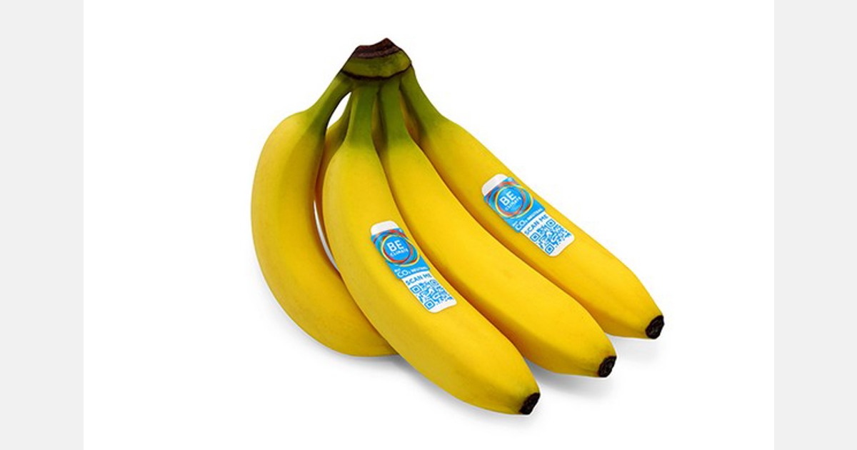 Empreinte carbone : puis-je continuer à manger des bananes