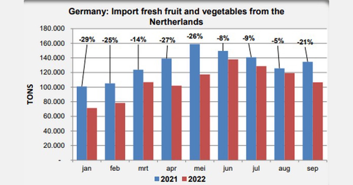 Deutschland importierte im September erneut deutlich weniger frisches Obst und Gemüse aus den Niederlanden