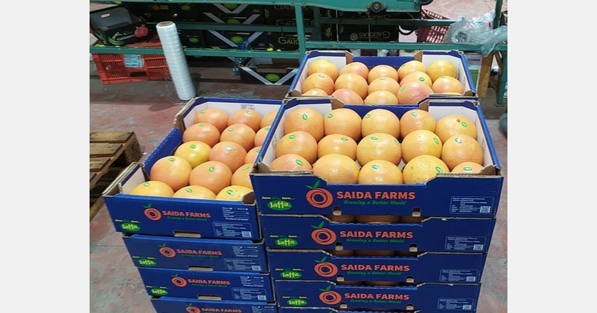 La saison du pomelo en Israël touche à sa fin